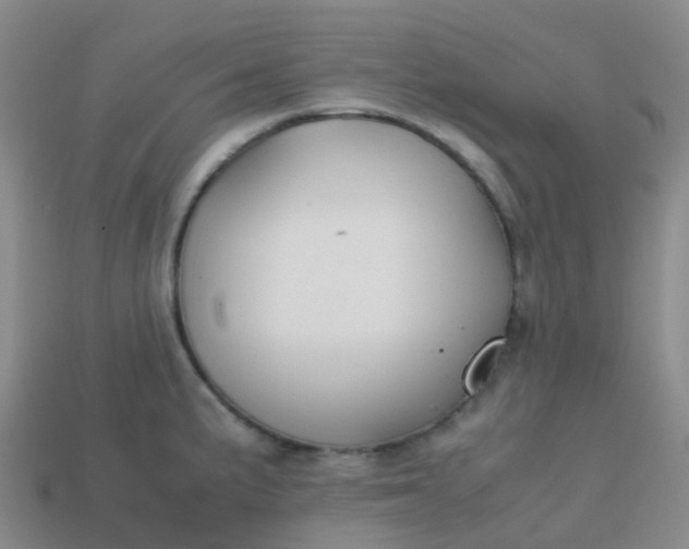 X0000113871191200910081720