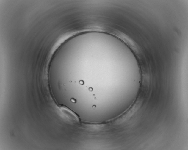 X0000113871192200910081720