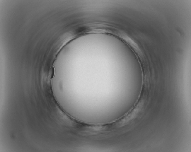 X0000113871193200910081720