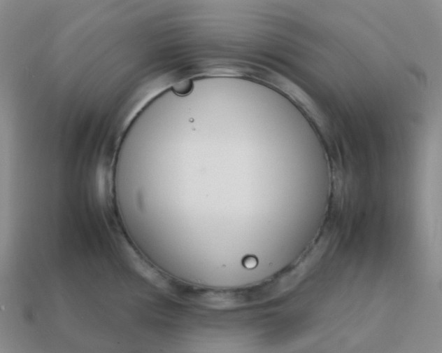 X0000113871194200910081720