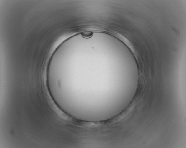 X0000113871195200910081720