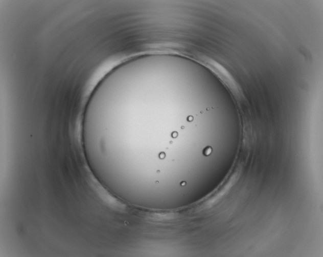 X0000113871196200910081720