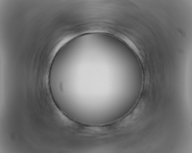 X0000113871197200910081720