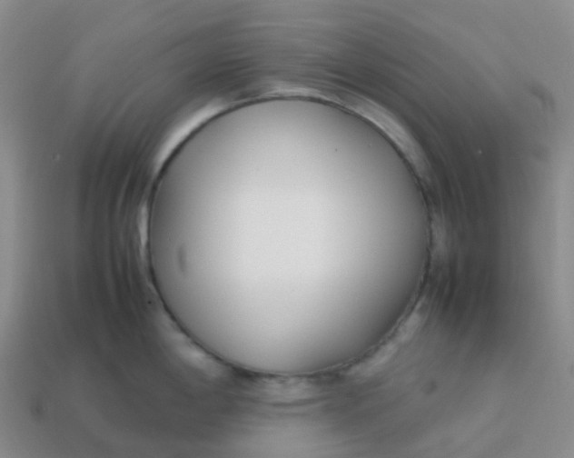 X0000113871198200910081720