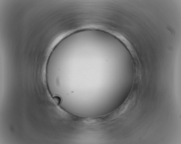 X0000113871199200910081720