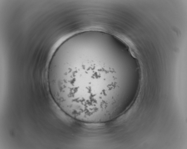 X0000113871200200910081720