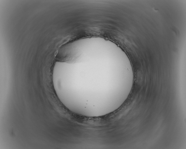 X0000113871201200910081720