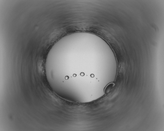 X0000113871202200910081720