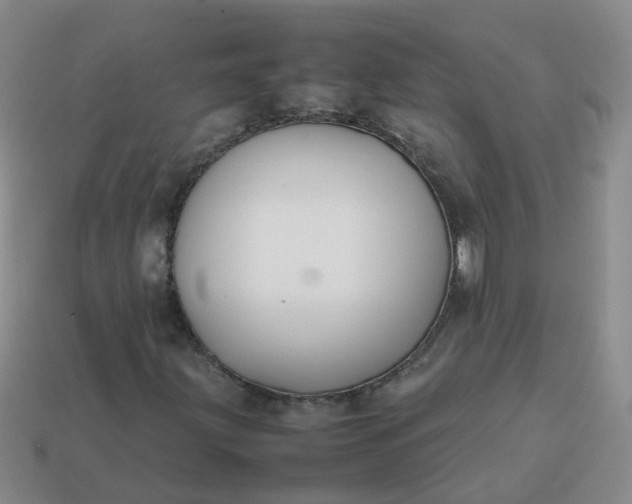 X0000113871203200910081720