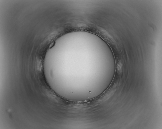 X0000113871204200910081720