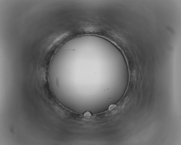 X0000113871205200910081720