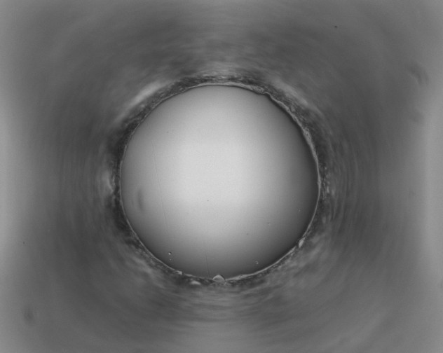 X0000113871206200910081720