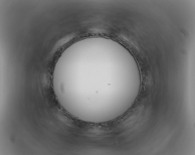 X0000113871207200910081720