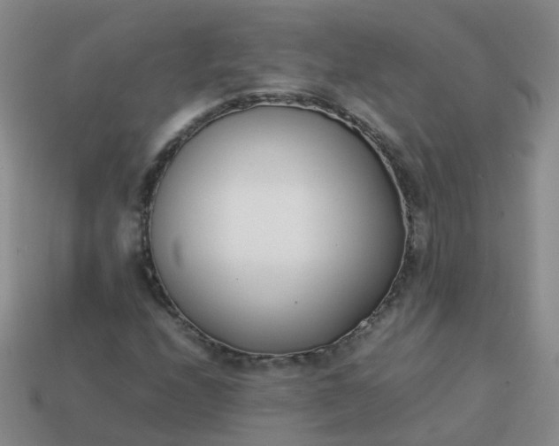 X0000113871208200910081720