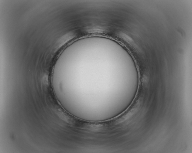 X0000113871209200910081720