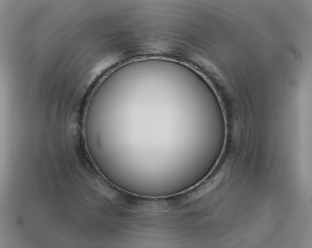 X0000113871210200910081720