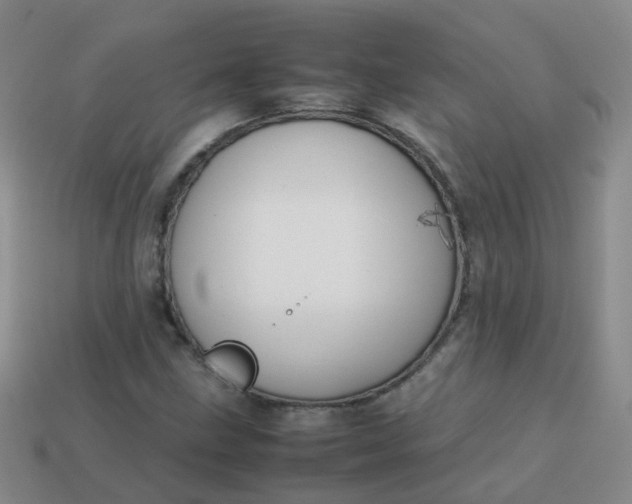 X0000113871211200910081720