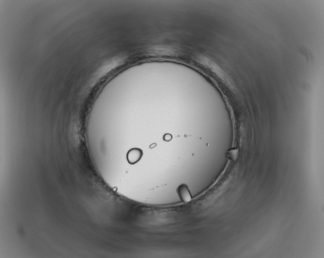 X0000113871213200910081720