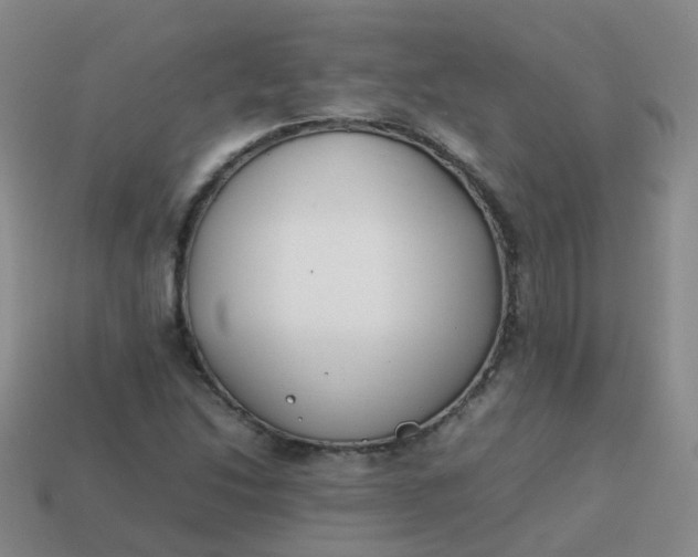 X0000113871214200910081720