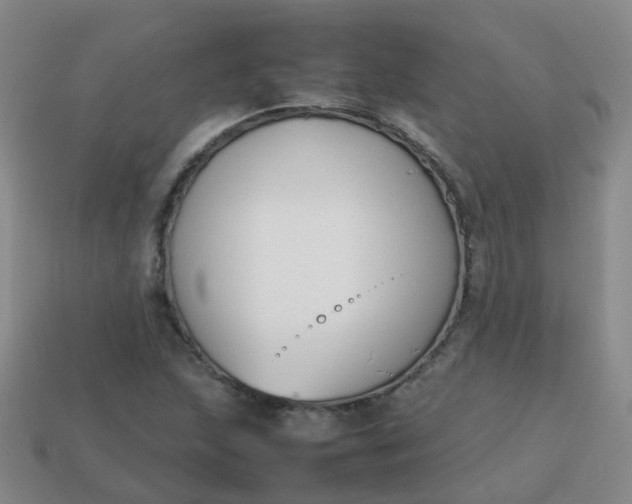 X0000113871215200910081720