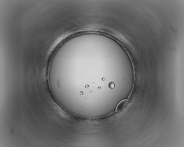 X0000113871216200910081720