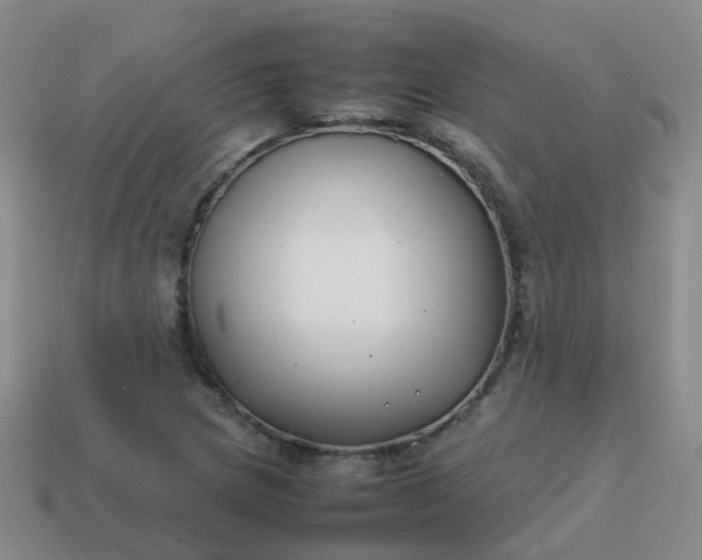 X0000113871217200910081720