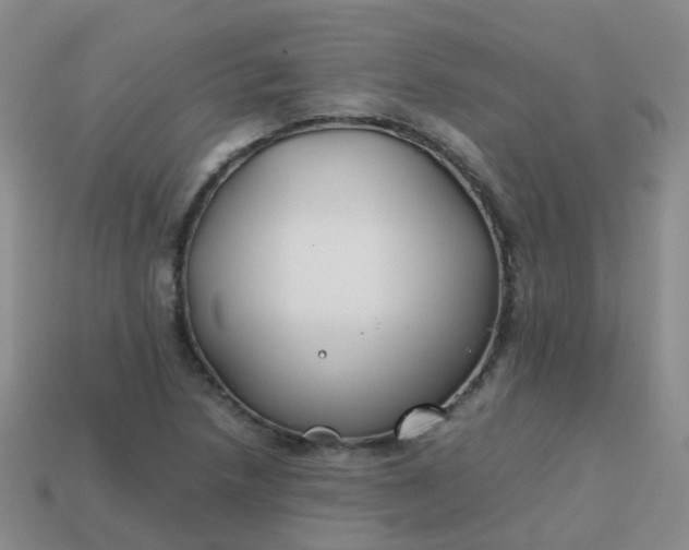 X0000113871218200910081720