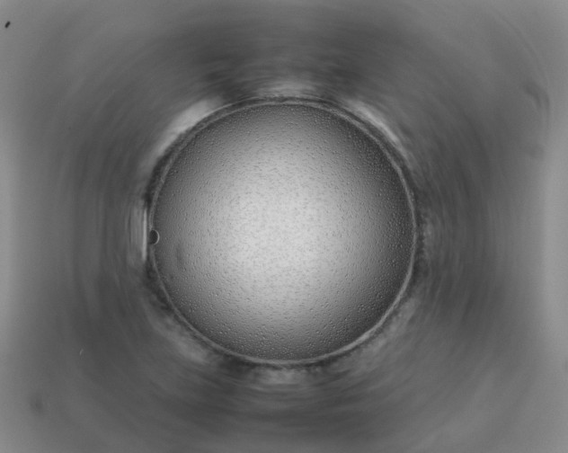 X0000113871219200910081720