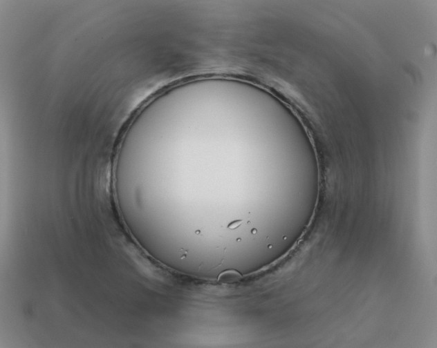 X0000113871220200910081720