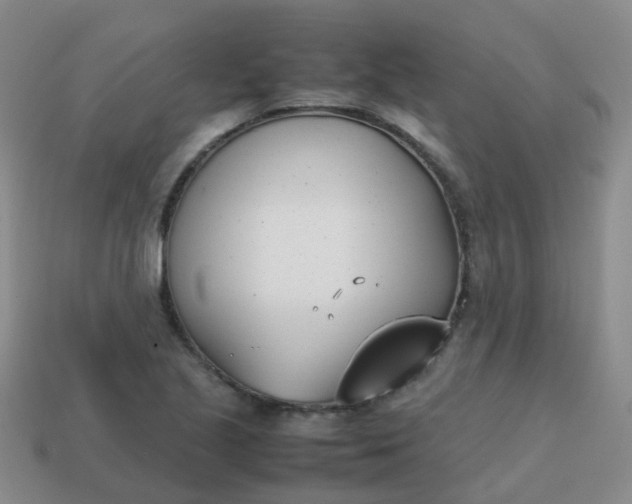 X0000113871221200910081720