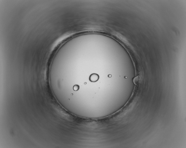 X0000113871222200910081720