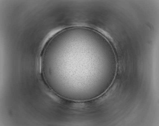 X0000113871223200910081720