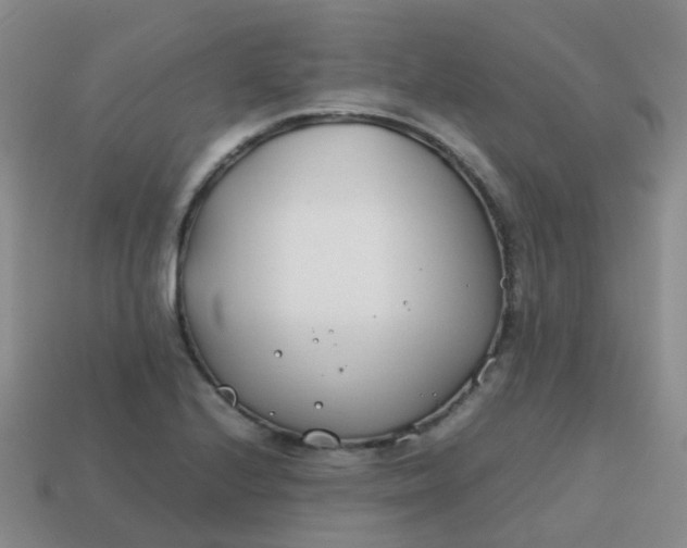 X0000113871224200910081720