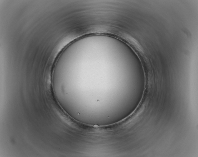 X0000113871226200910081720