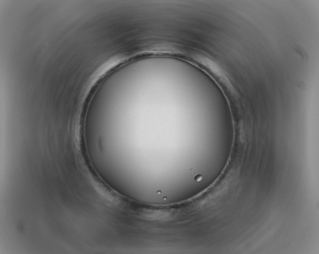 X0000113871229200910081720