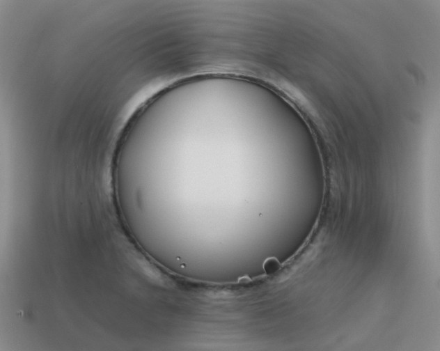 X0000113871230200910081720