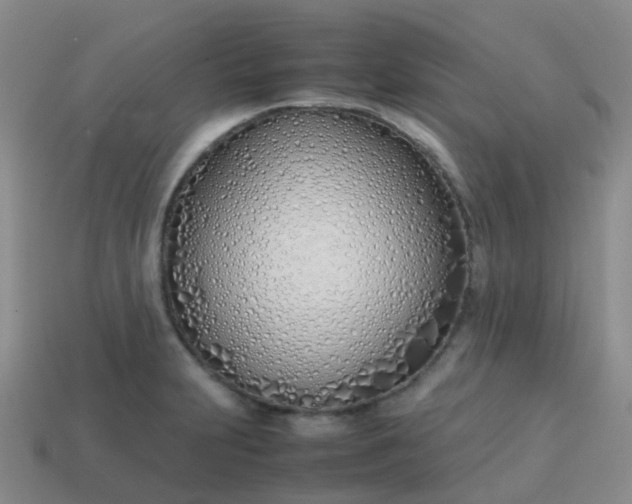 X0000113871231200910081720