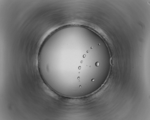 X0000113871232200910081720