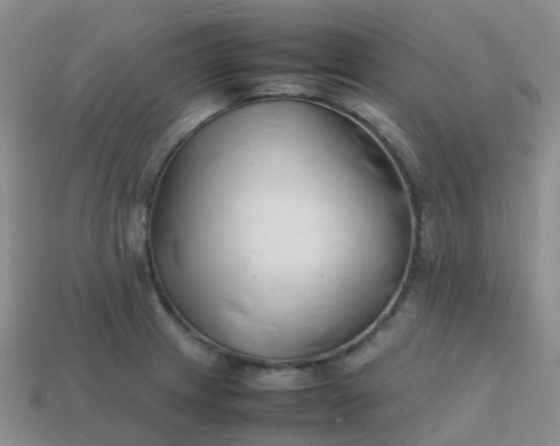 X0000113871233200910081720