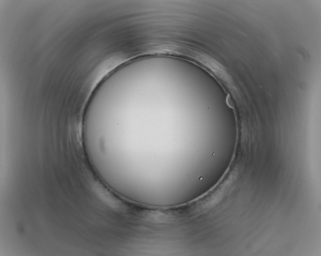 X0000113871234200910081720