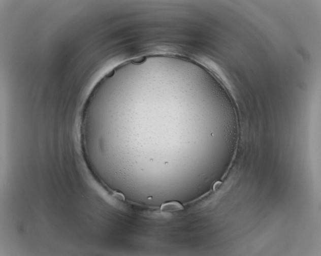 X0000113871235200910081720