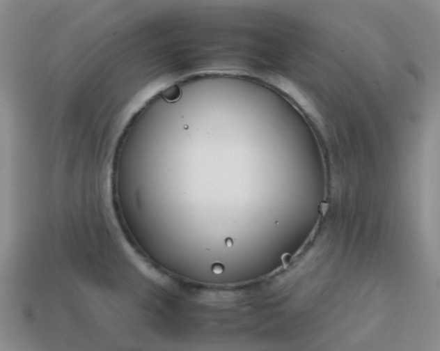 X0000113871237200910081720