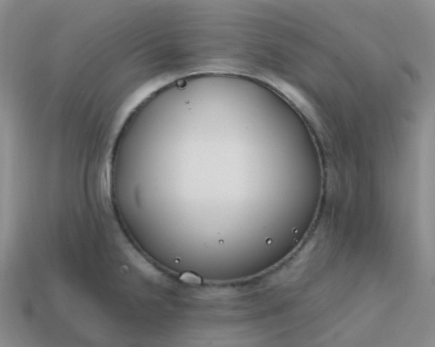 X0000113871238200910081720