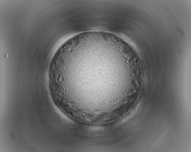 X0000113871239200910081720