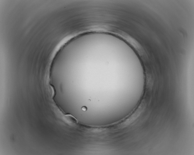 X0000113871240200910081720