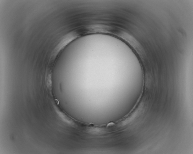 X0000113871241200910081720