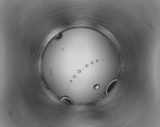 X0000113871242200910081720