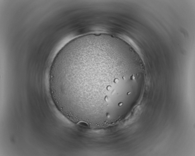 X0000113871243200910081720