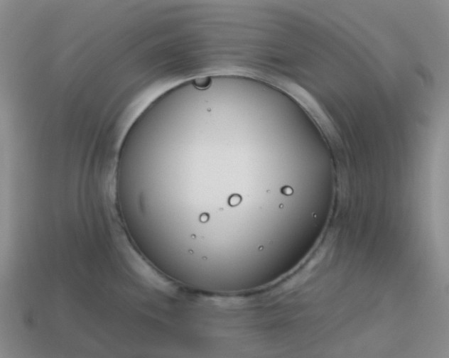 X0000113871244200910081720