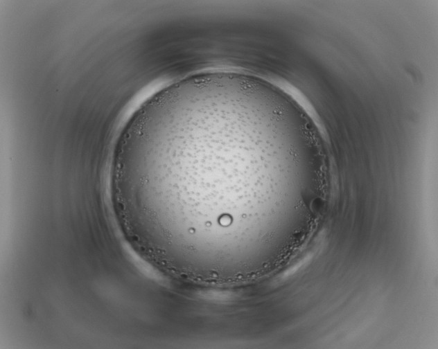 X0000113871245200910081720